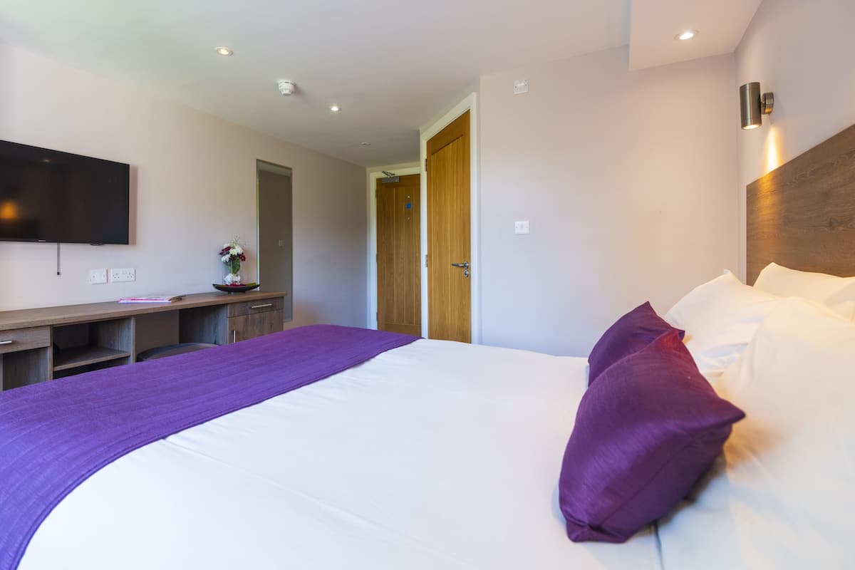 A hotel room with a large bed, a flat-screen TV mounted on the wall, a wooden door, and a small desk with a vase of flowers.