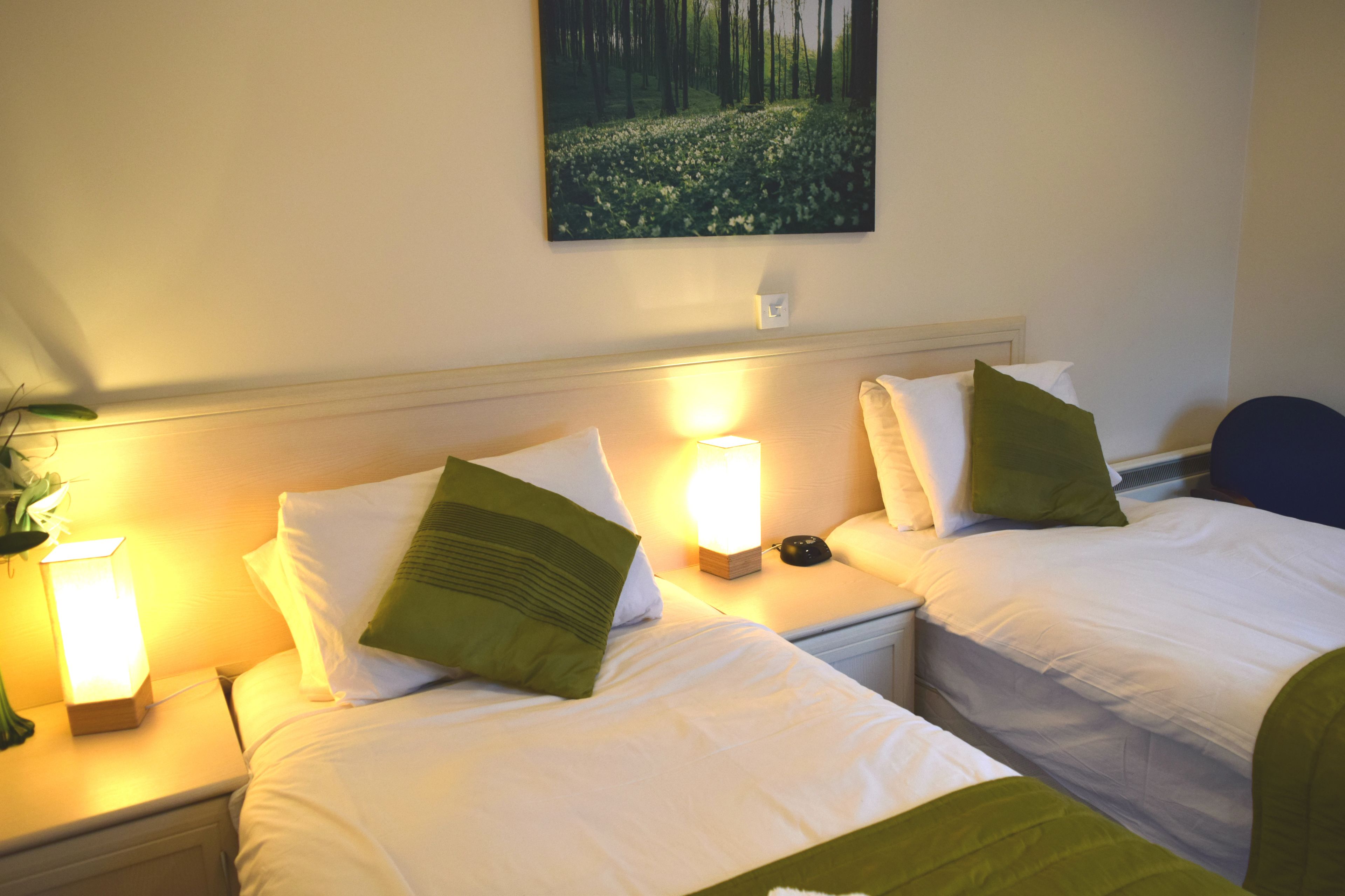 Habitación de hotel con dos camas, cada una con ropa blanca y almohadas verdes. Se observa un mesita de noche con una lámpara y una planta a la izquierda. Un cuadro de un bosque adorna la pared sobre las camas.