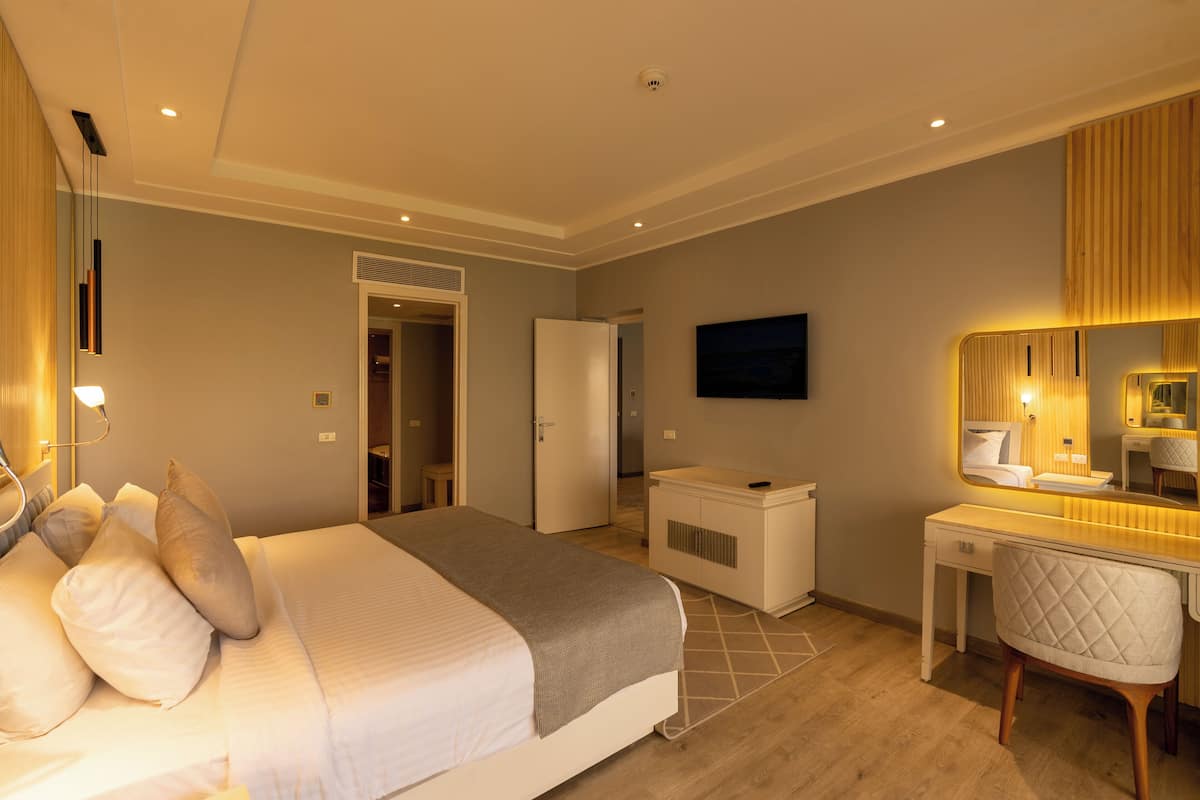 Una habitación de hotel con cama, escritorio, silla, televisor y espejo.