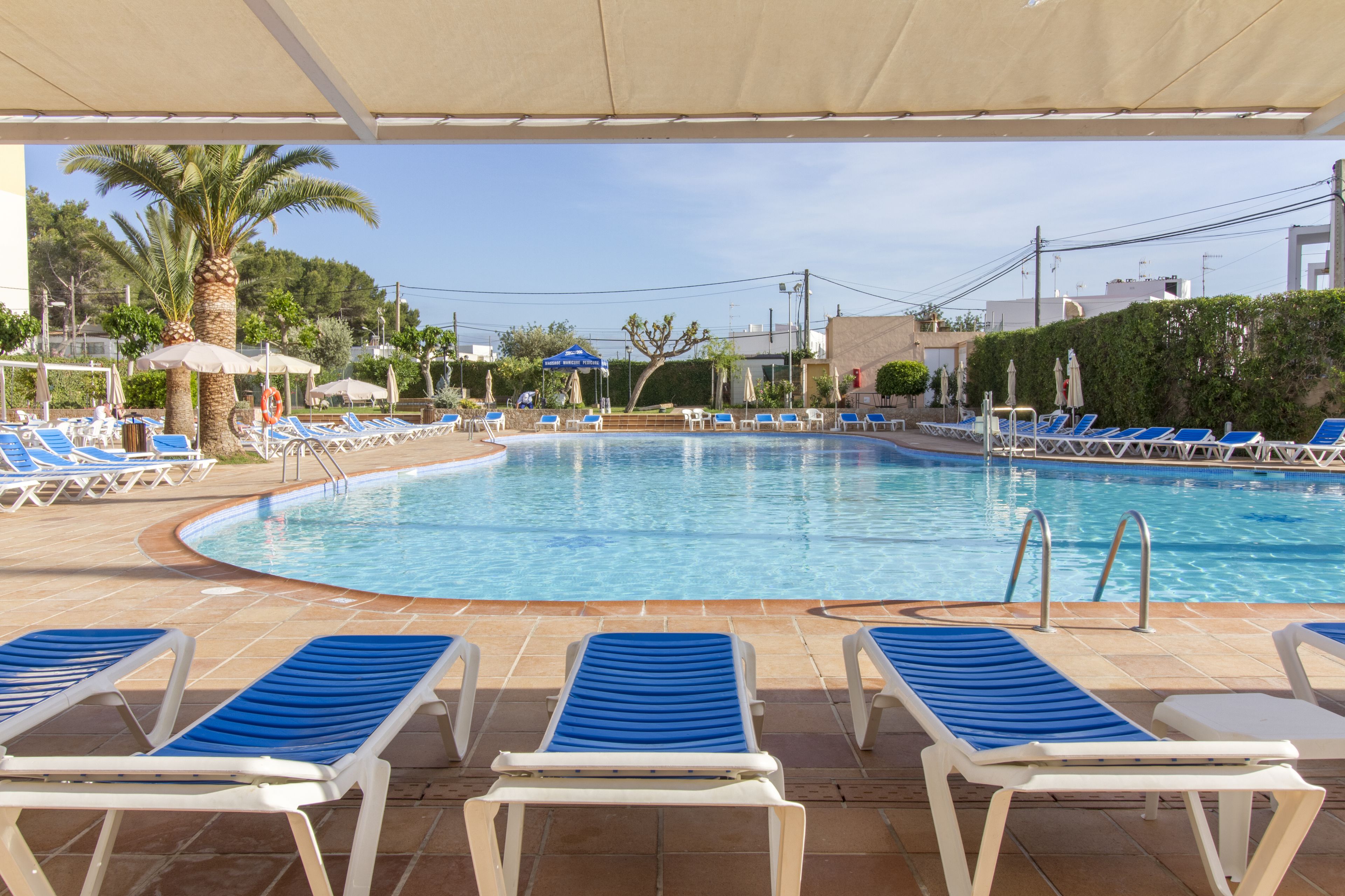 A pool area with blue and white sun loungers, a clear pool, and palm trees.