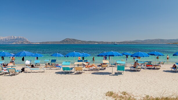 A beach with rows of sun loungers and blue umbrellas, a clear blue sky, and calm sea. - Hotel Mare Blue (Olbia)
