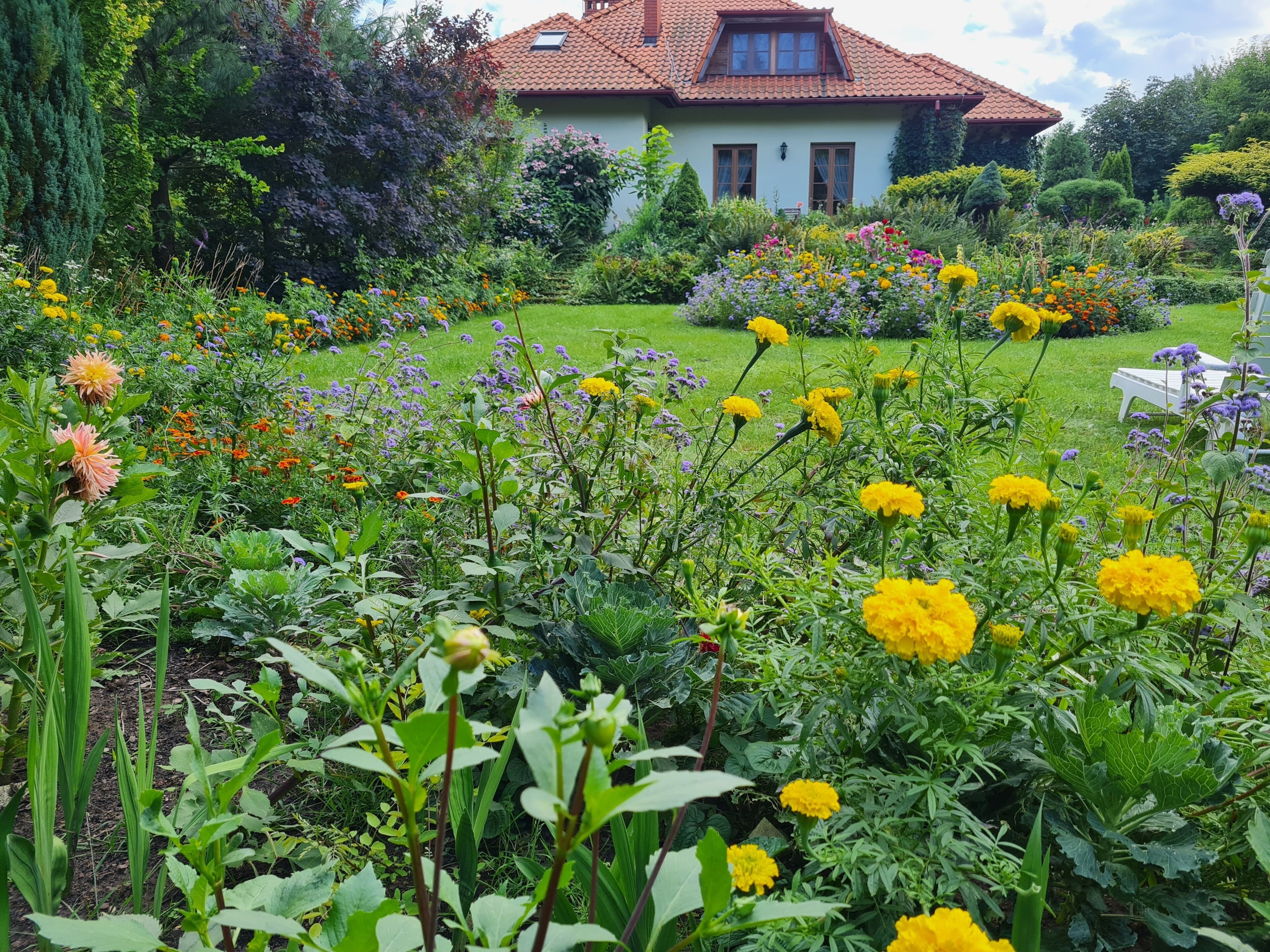 Un jardín con diversas flores y una casa al fondo.