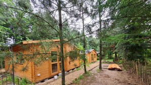 Une cabane en bois dotée d’un porche, entourée d’une forêt dense.