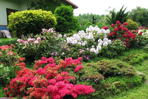 Vista desde la propiedad