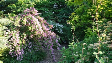 A garden with various flowering plants and trees.