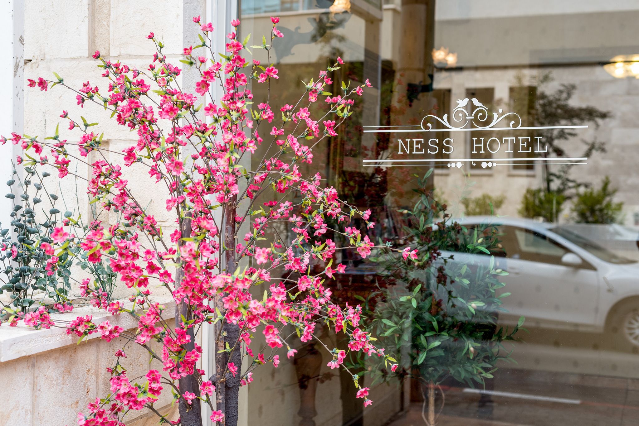 Foto - Ness Hotel