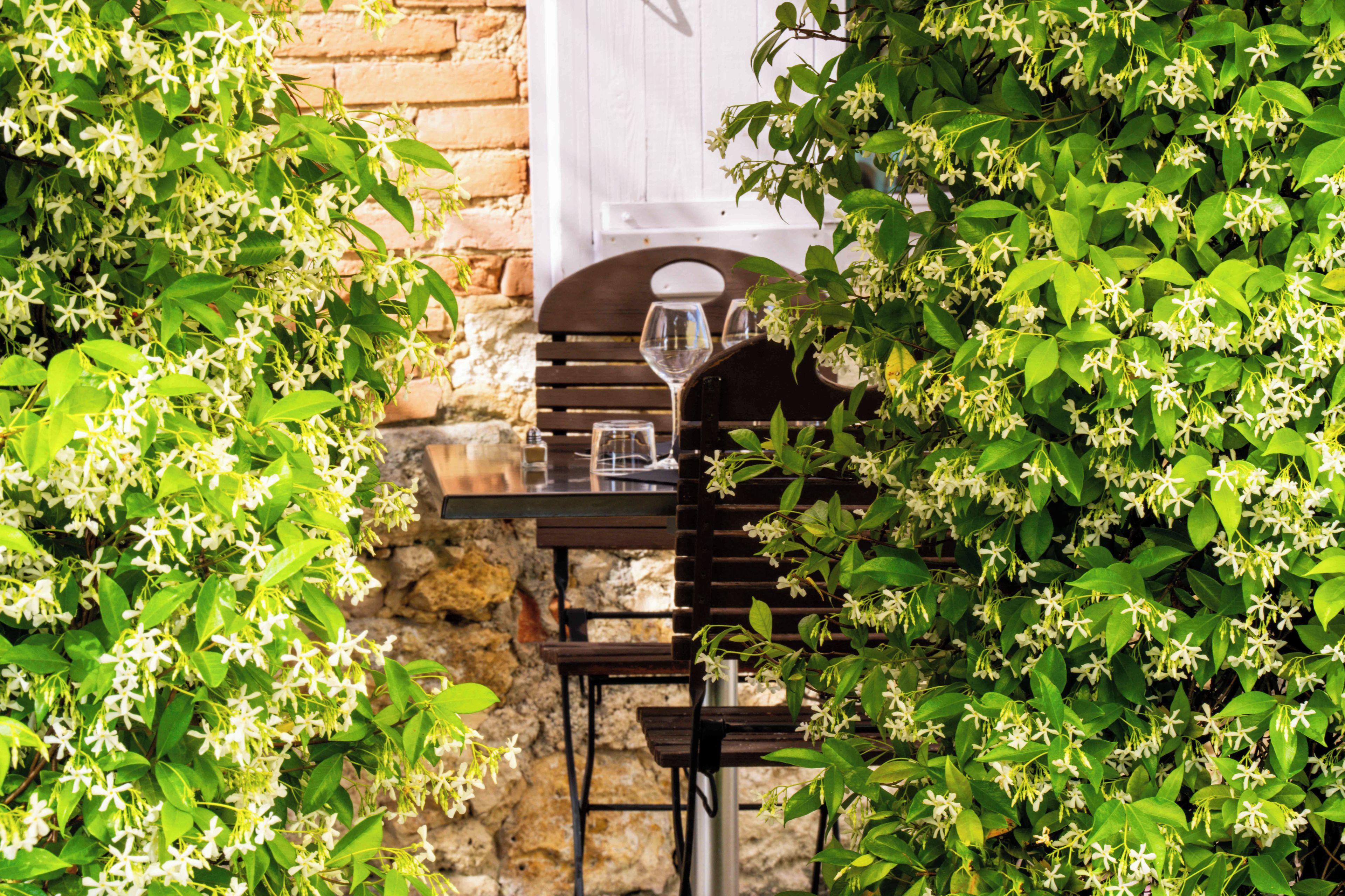 An outdoor dining area with a table and chairs, surrounded by lush greenery and white flowers.