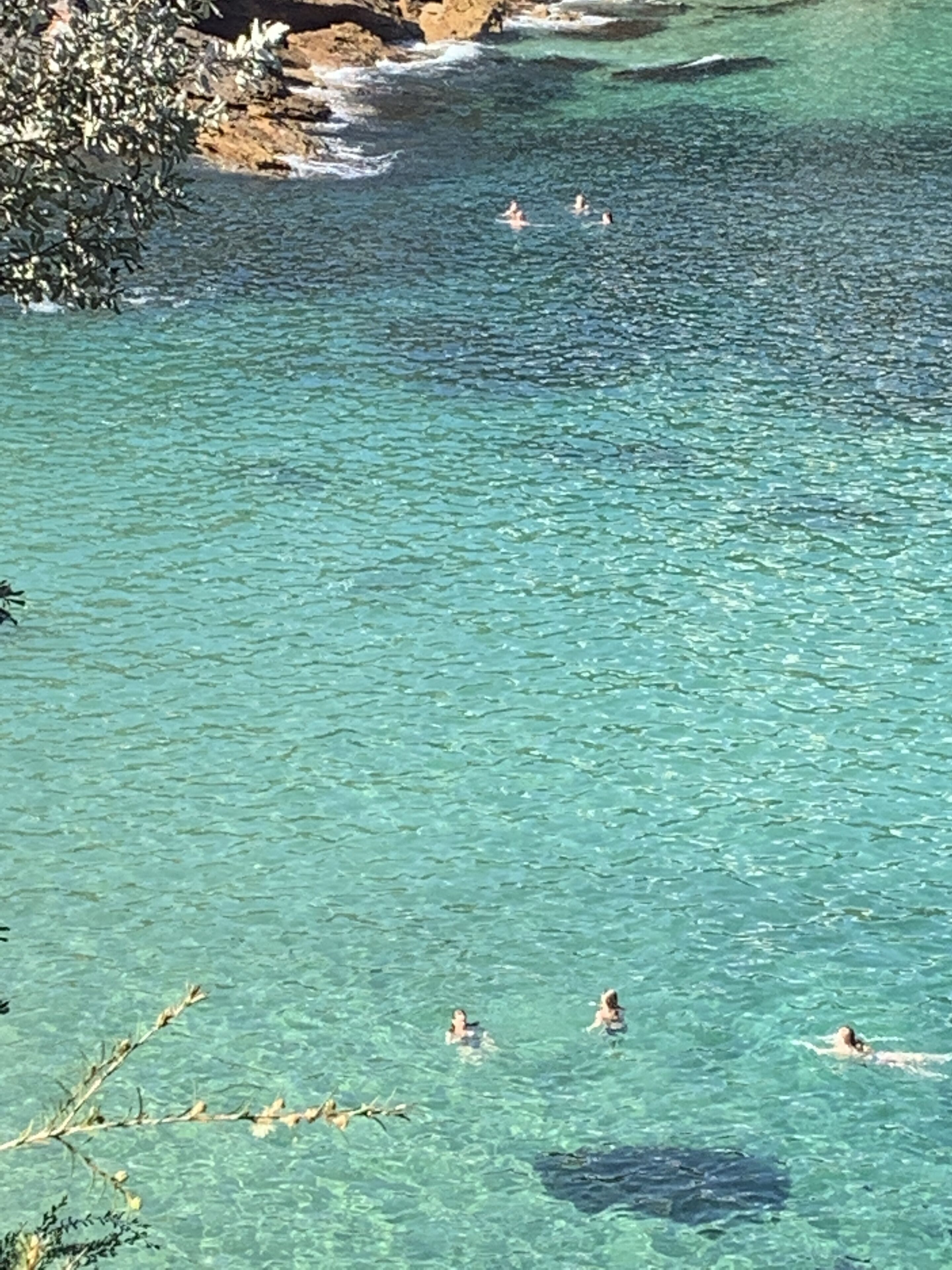 Foto - Perouse Randwick by Sydney Lodges