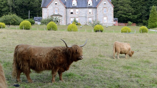 A stone building with multiple chimneys and windows, surrounded by a grassy field and trimmed bushes. - The Inch Hotel (Fort Augustus)