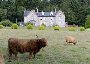A stone building with multiple chimneys and windows, surrounded by a grassy field and trimmed bushes.
