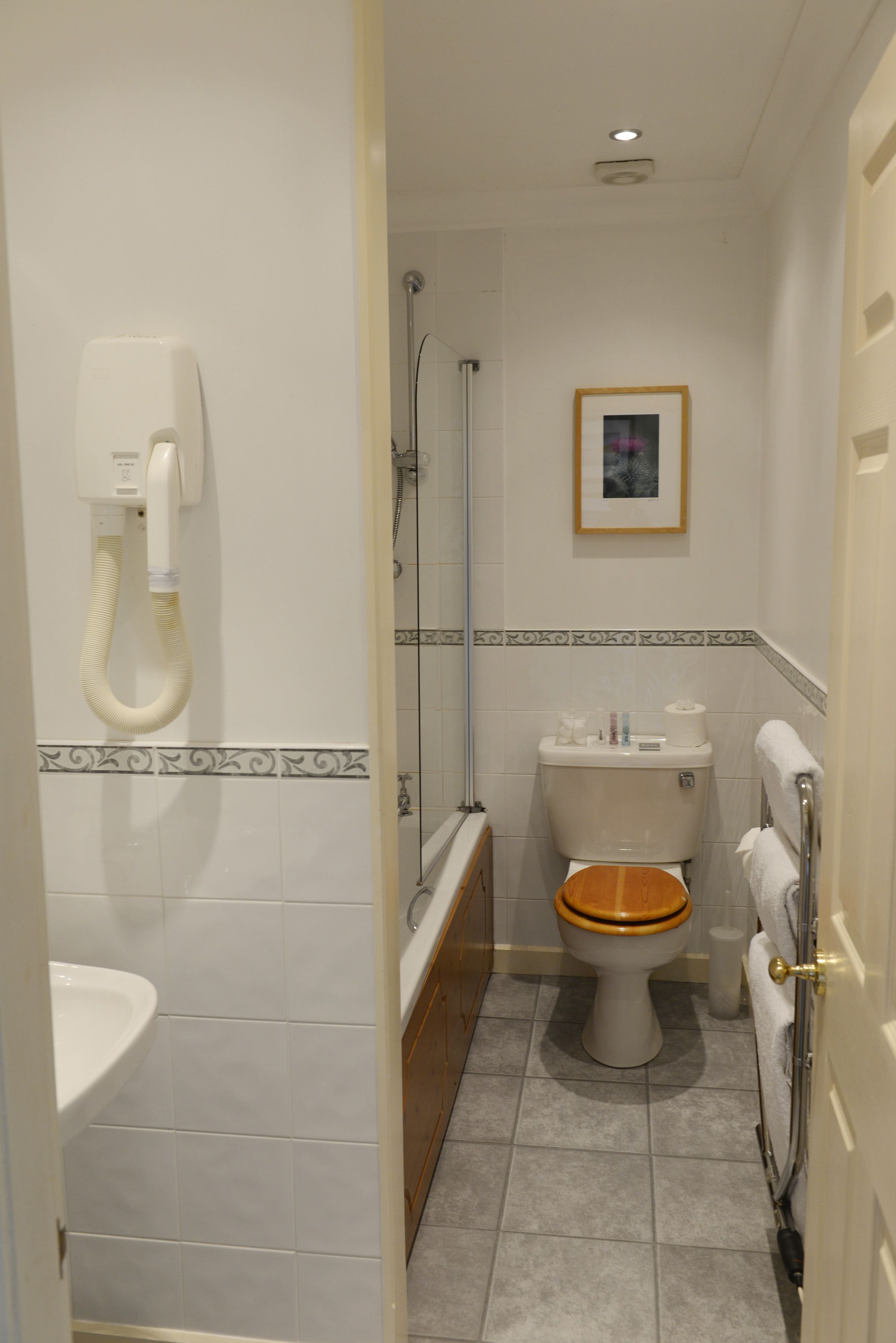 premier room | bathroom | shower, hair dryer, towels