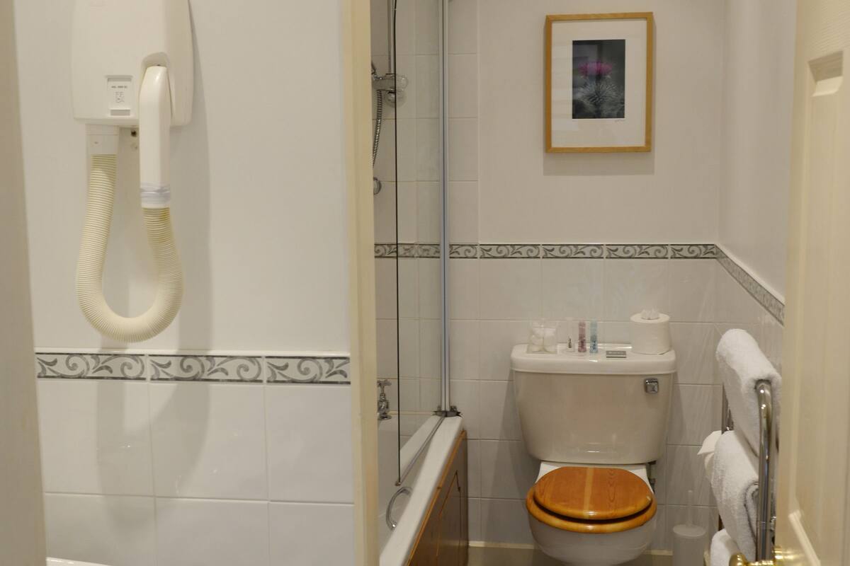 premier room | bathroom | shower, hair dryer, towels