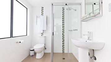 Shower, free toiletries, hair dryer, towels