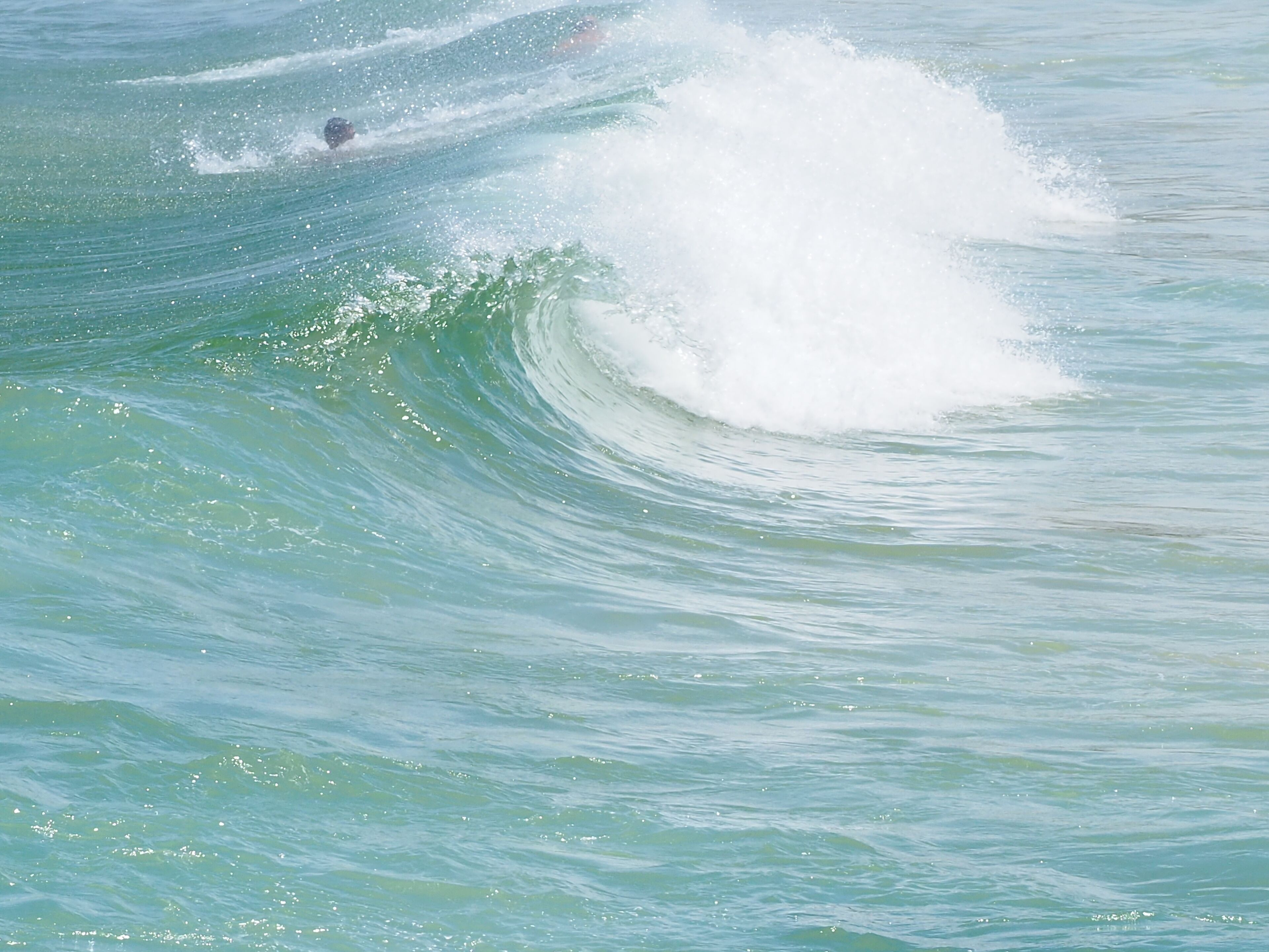 Foto - Avoca Randwick by Sydney Lodges