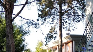 Property grounds - Relais de Vincey (Vincey)