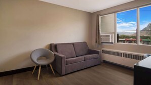 A room with a grey sofa, a grey chair, a radiator, and a window with a view of mountains and a store.
