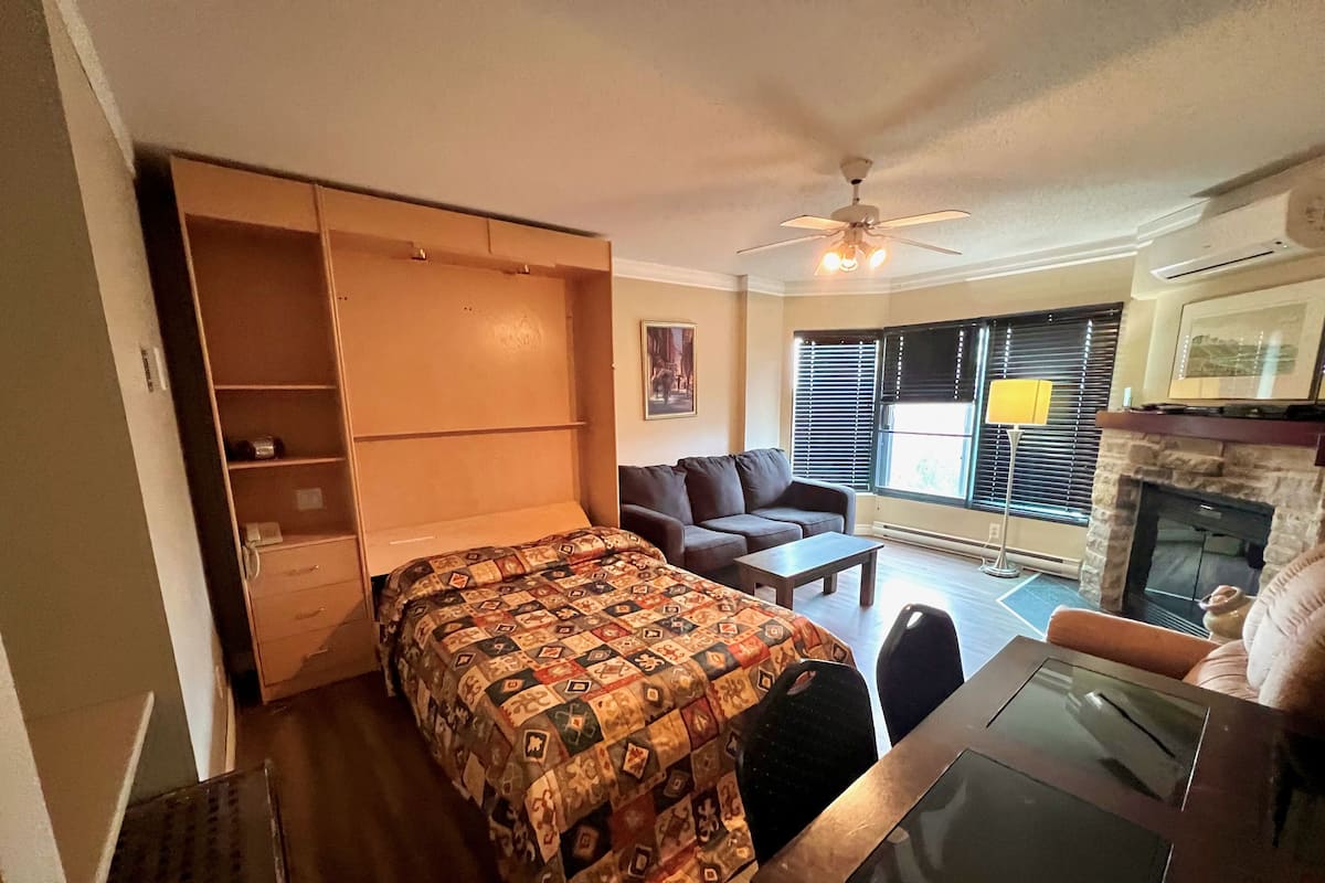 Standard Studio, Kitchenette | Living area | Fireplace, DVD player