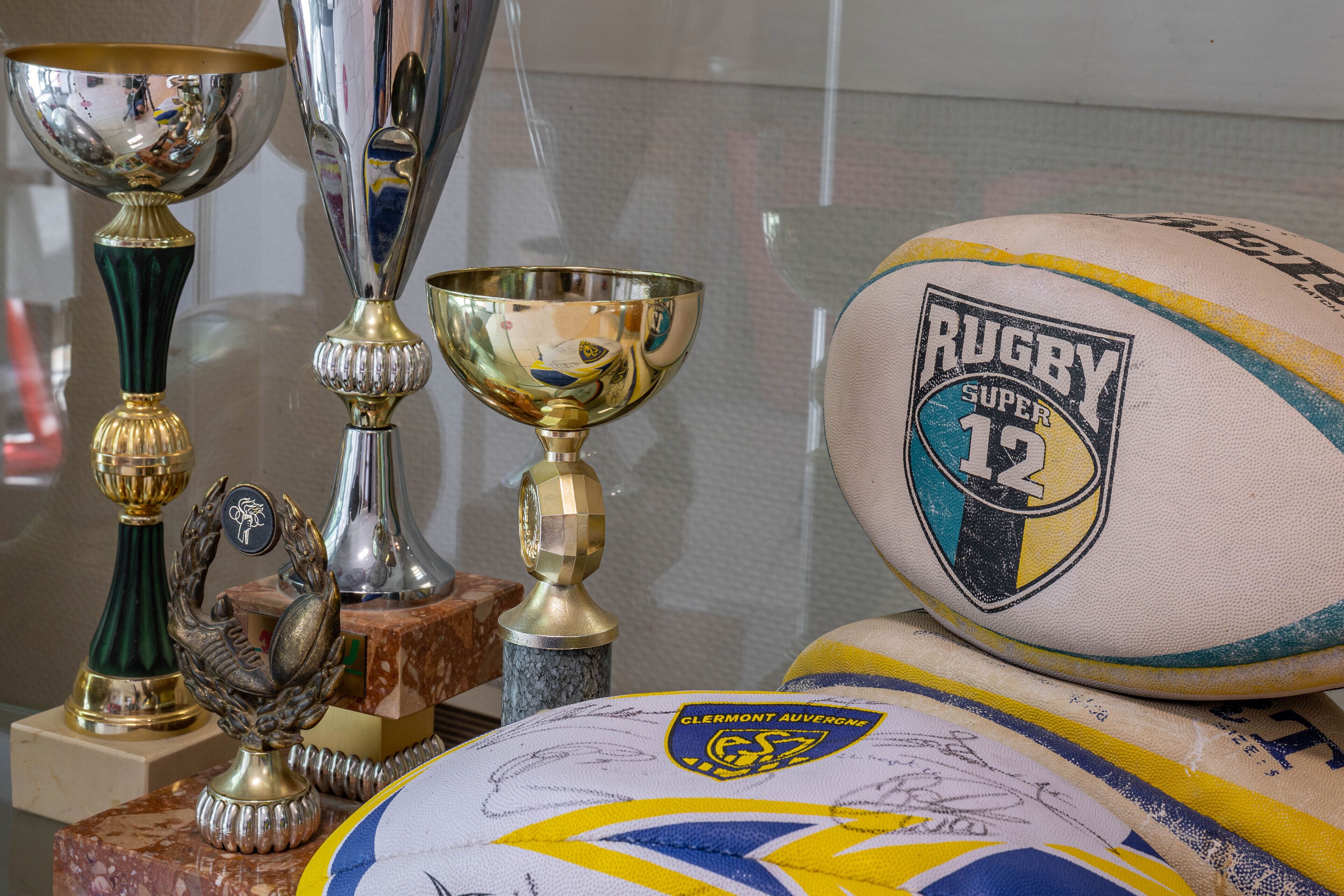 Trofeos y balones de rugby exhibidos.
