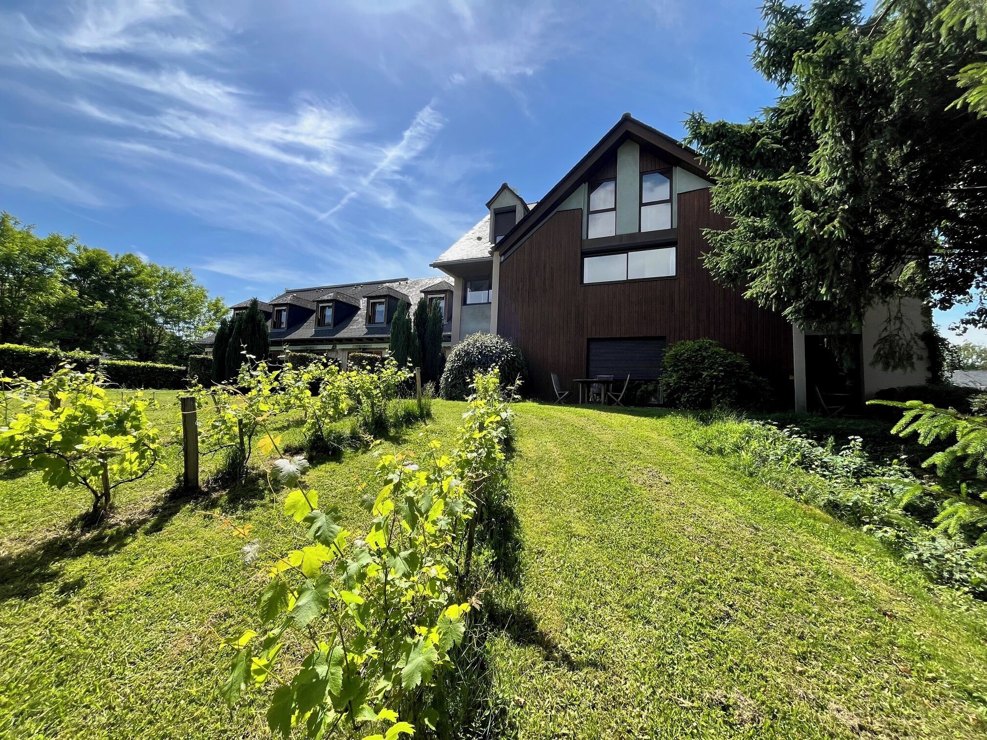 Een modern huis met een verzorgd gazon en een wijngaard op de voorgrond.