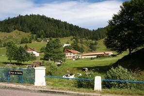 View from property - Hotel De la Grande Cascade (Le Tholy)