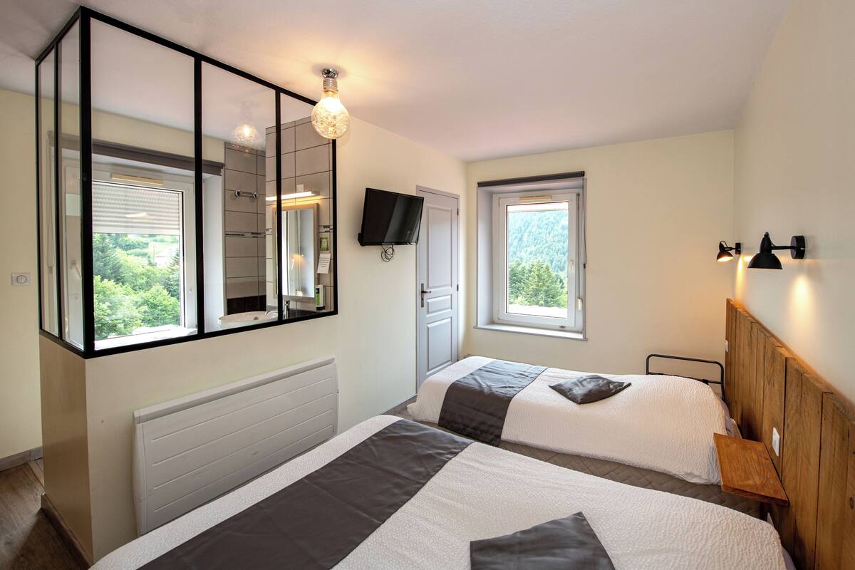 Un dormitorio con dos camas, un espejo grande, una televisión y una ventana con vistas a árboles.