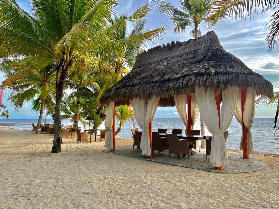 A beach hut with a thatched roof and white curtains, surrounded by palm trees and overlooking the sea.