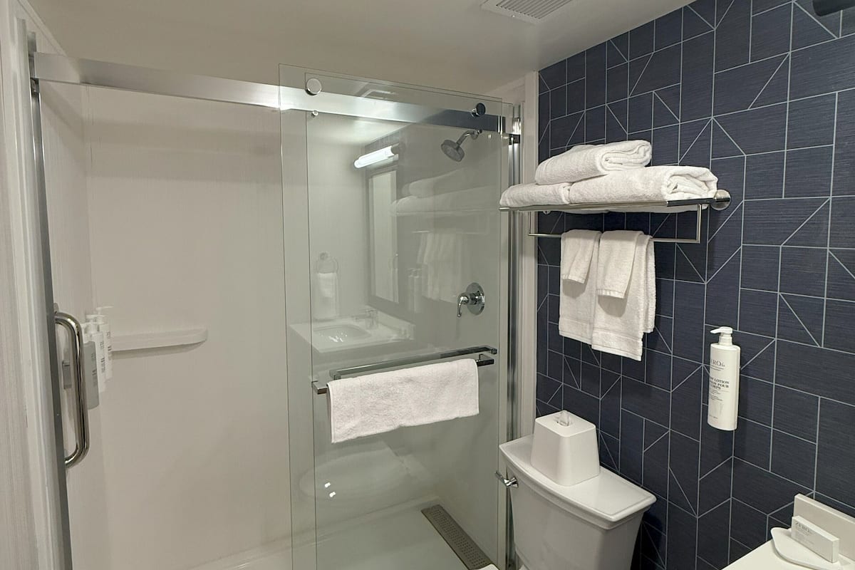 Shower, free toiletries, hair dryer, towels