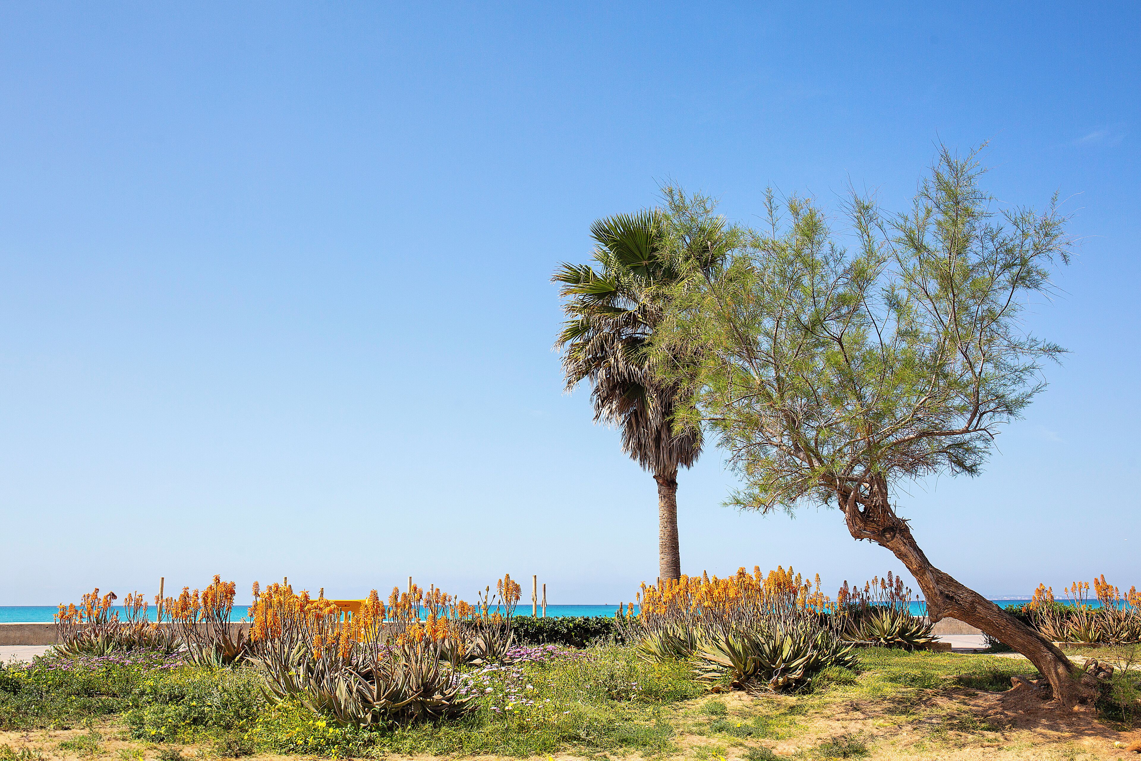 Photo - BQ Carmen Playa- Adults Only