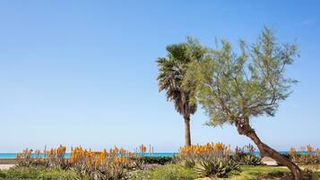 Ubicación cercana a la playa