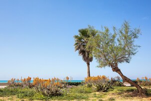 Ubicación cercana a la playa