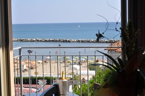 Vista des de l'allotjament