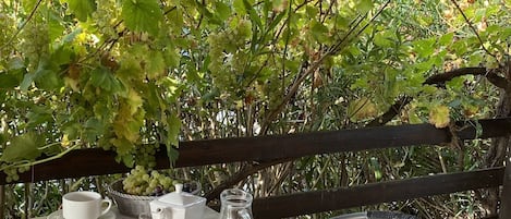 Daily buffet breakfast (EUR 8 per person)