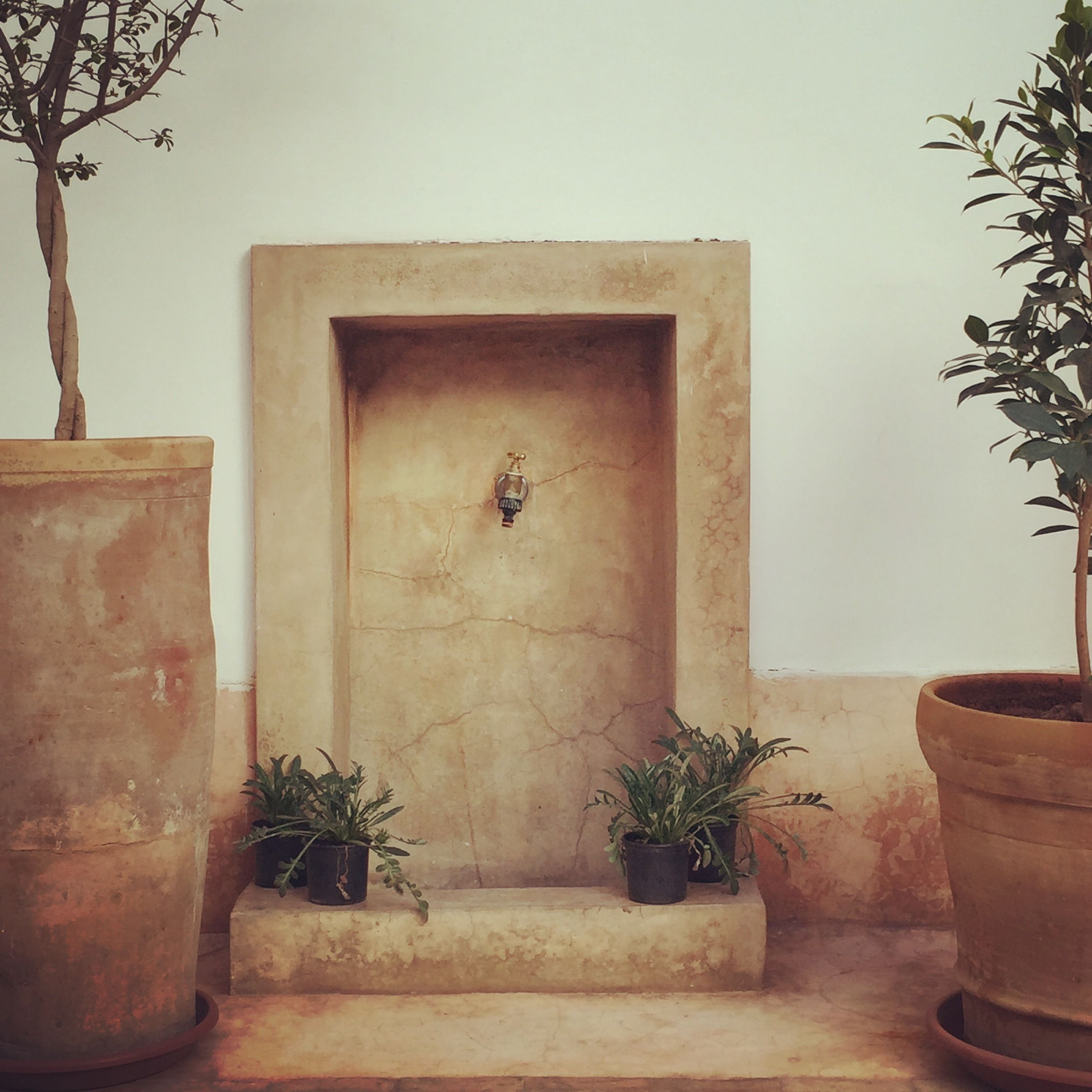 Foto - Riad UP