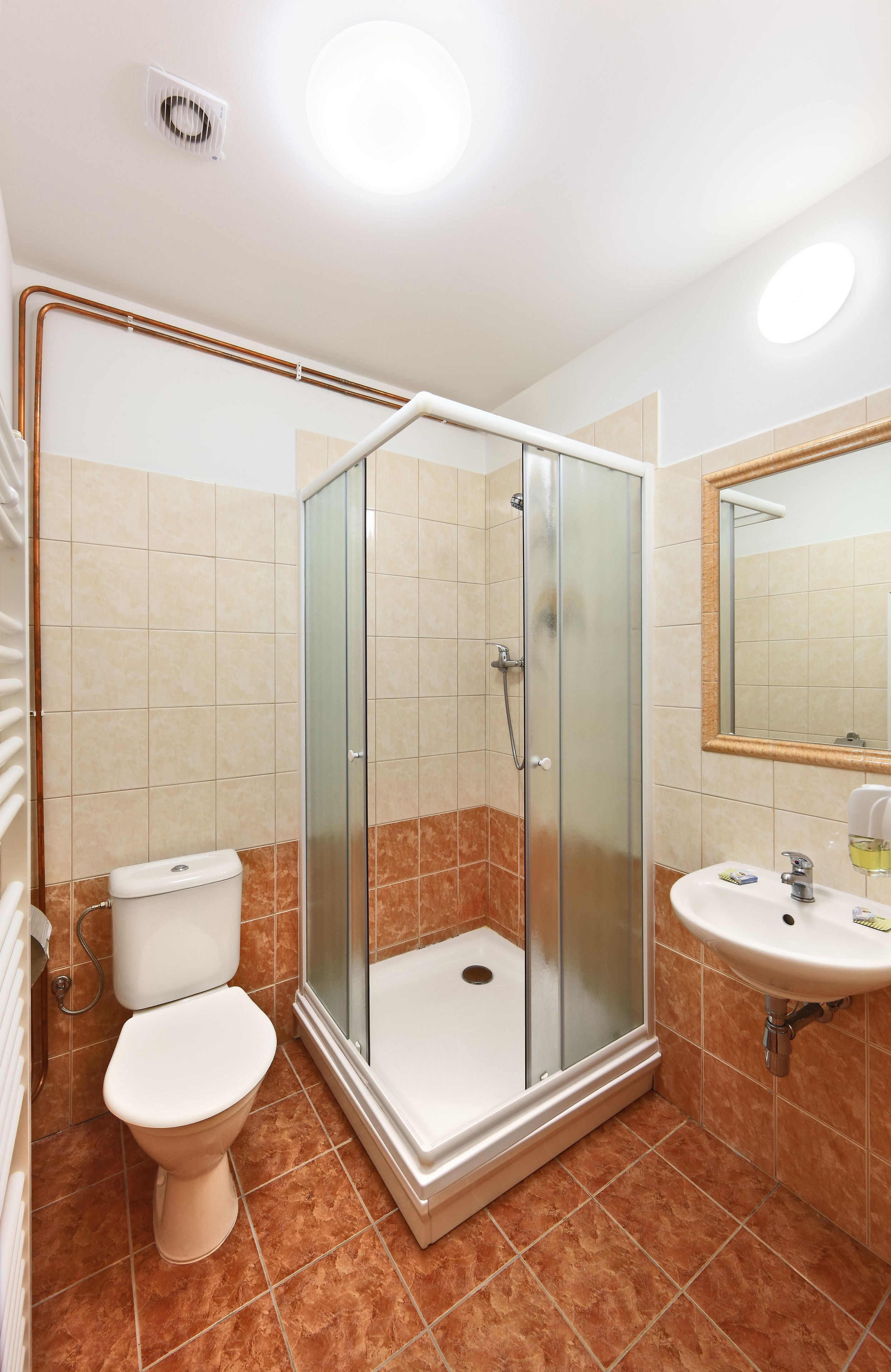 Un baño con ducha acristalada, inodoro y lavabo con espejo.