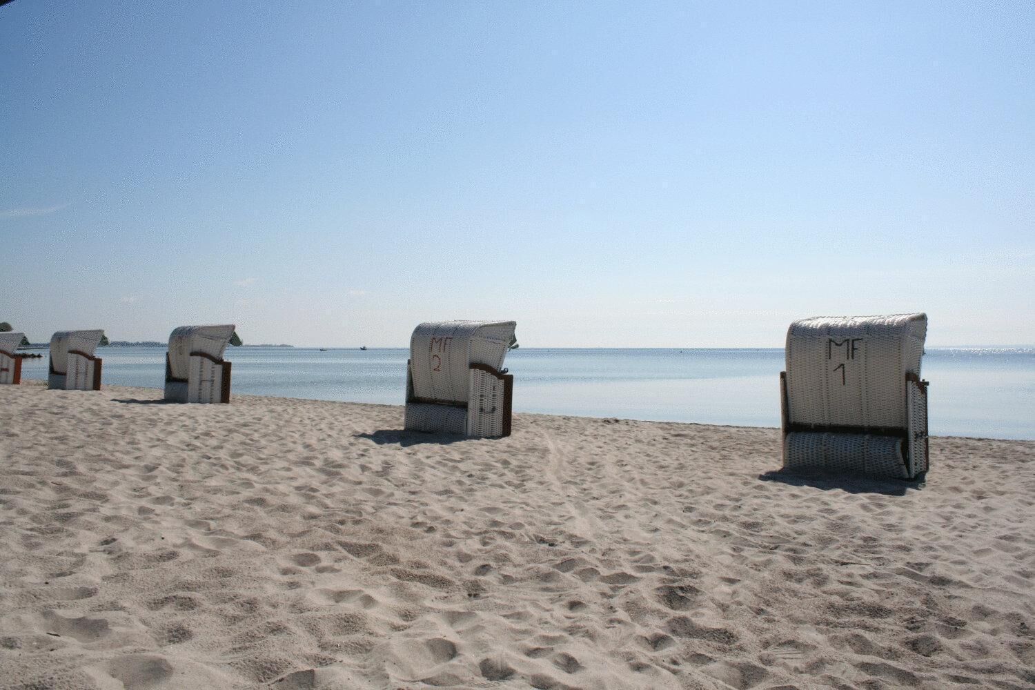 A beach with several wicker lounge chairs marked with 'MF' and numbers, arranged on the sand.