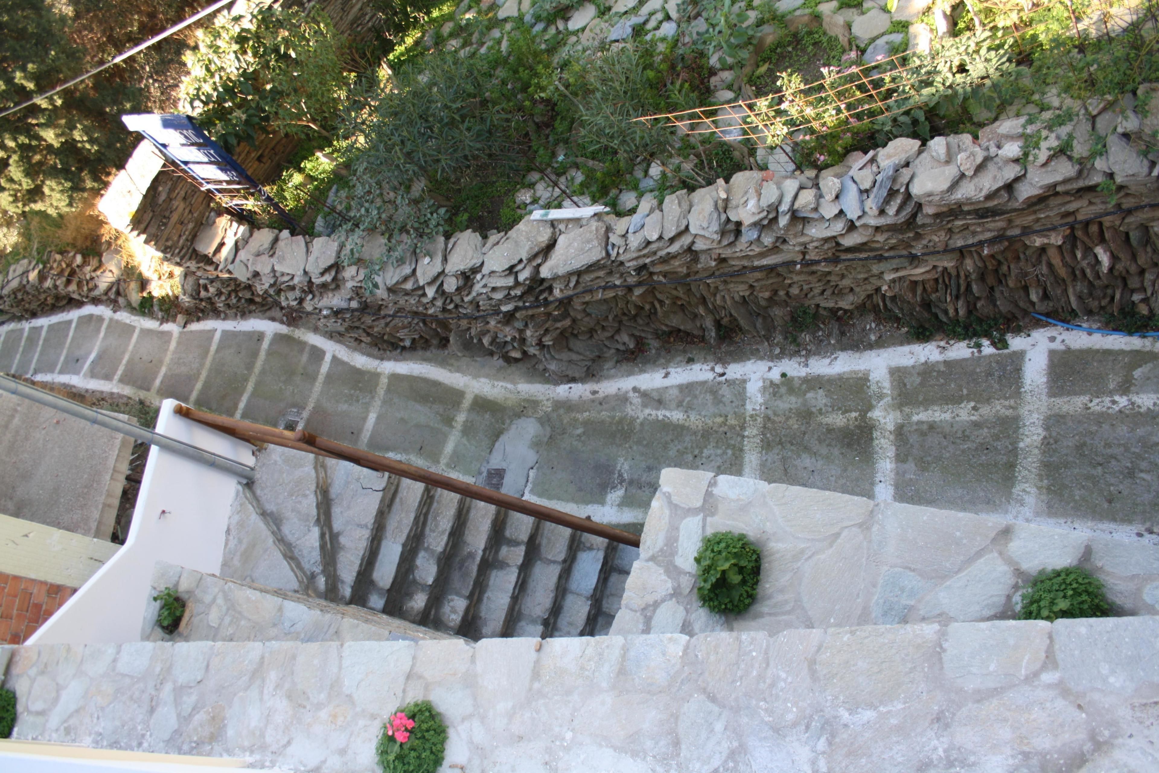 A stone staircase with a metal handrail, surrounded by greenery and a stone wall.