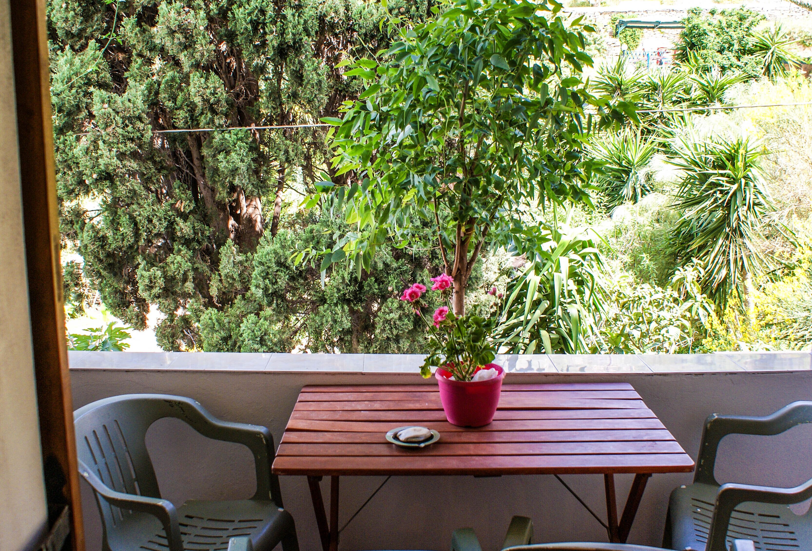 A balcony with a wooden table, two chairs, and a potted plant with pink flowers.