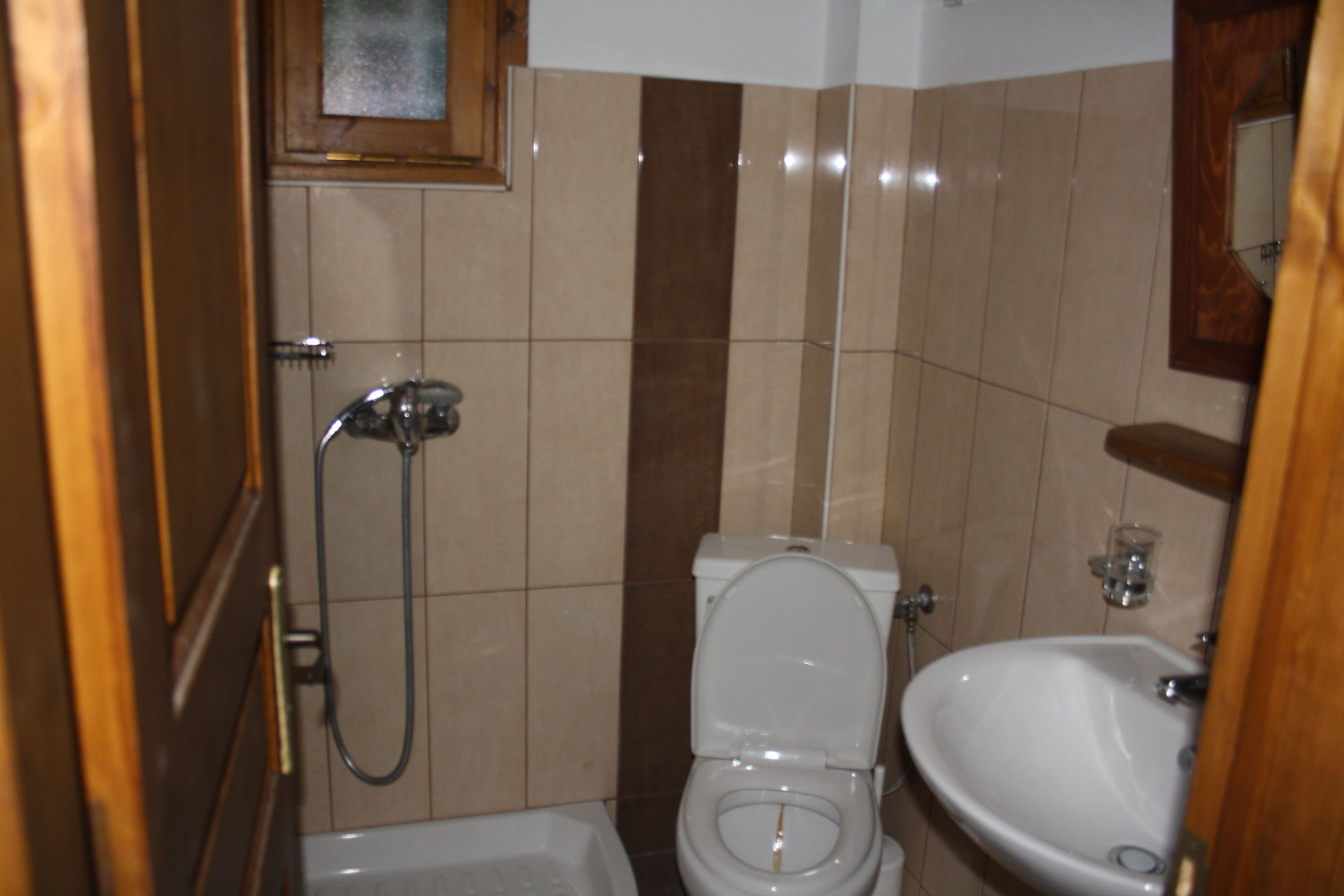 A small bathroom with a toilet, sink, and shower.