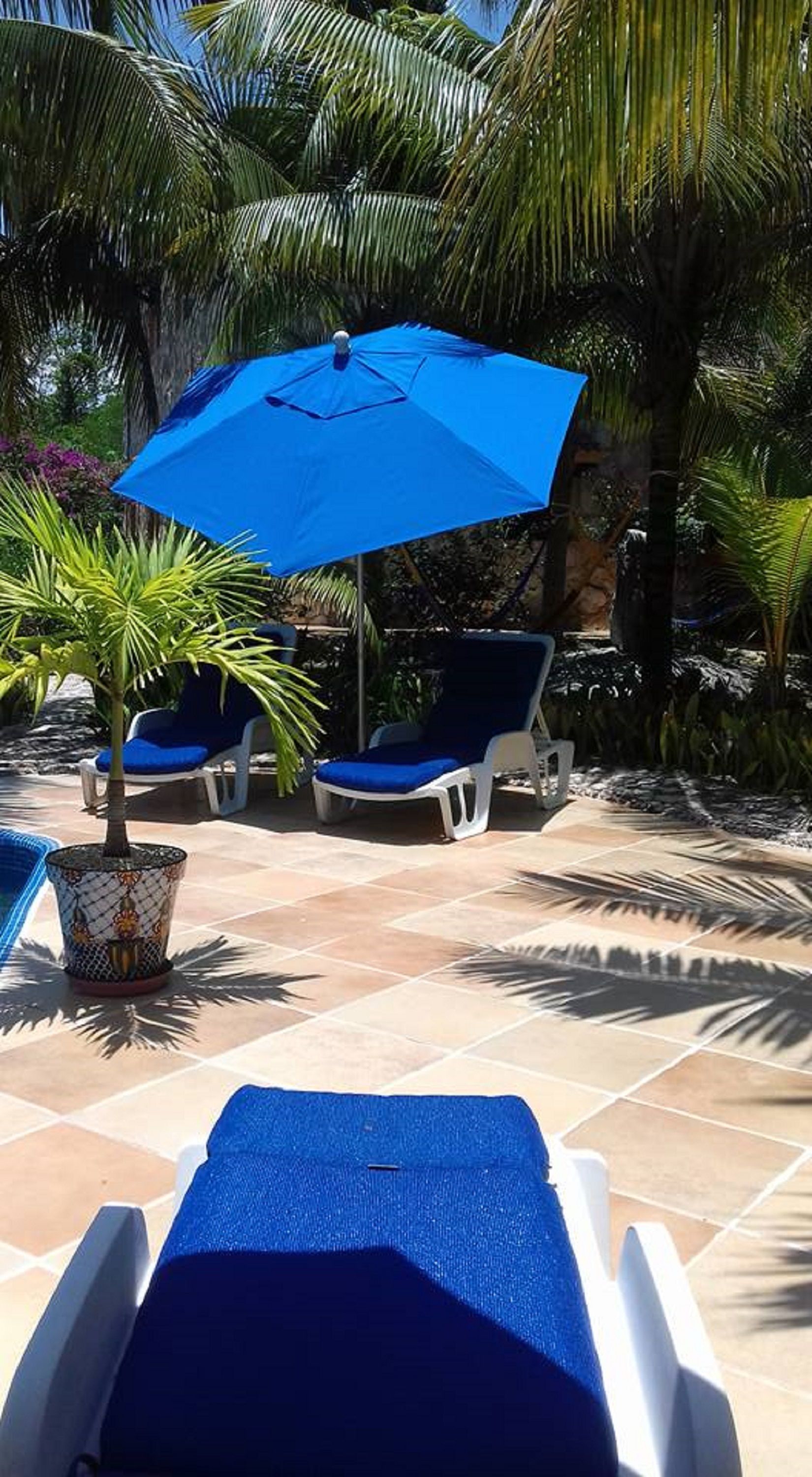 Piscine extérieure, chaises longues