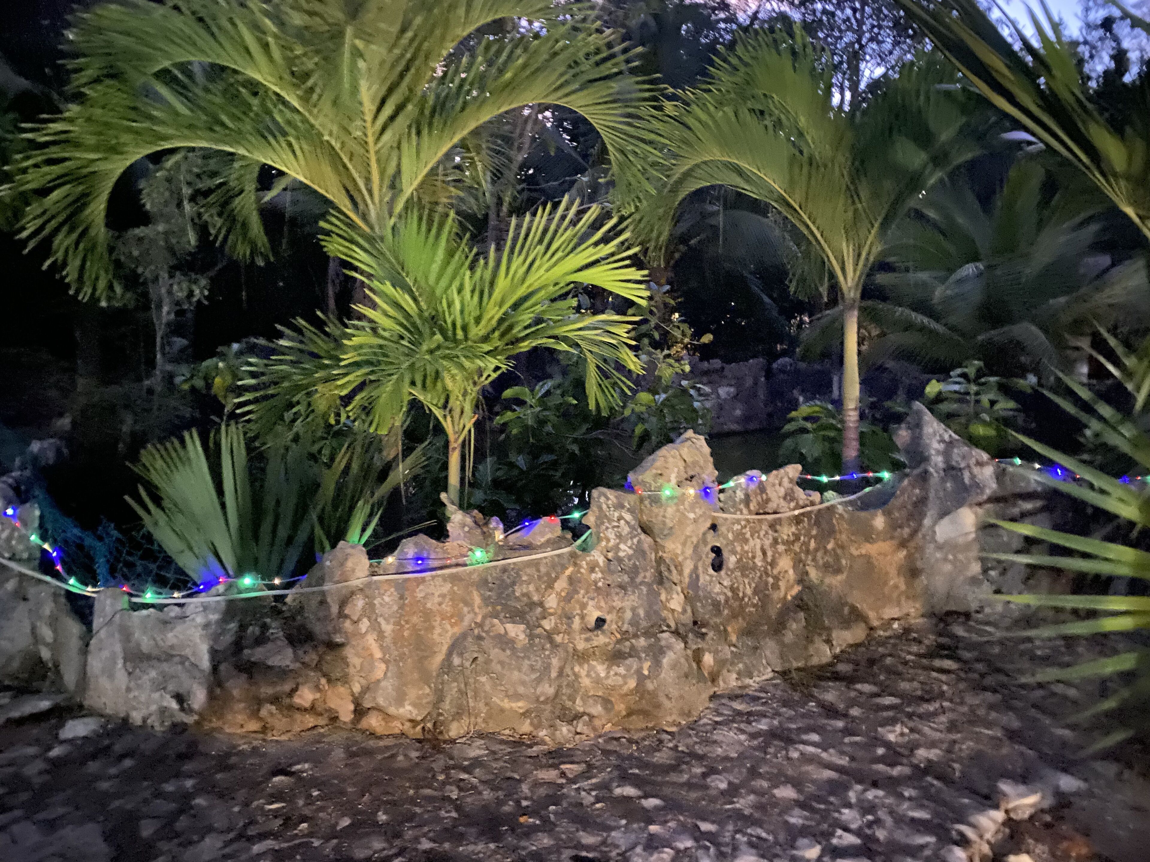 A stone wall with palm trees and decorative lights.
