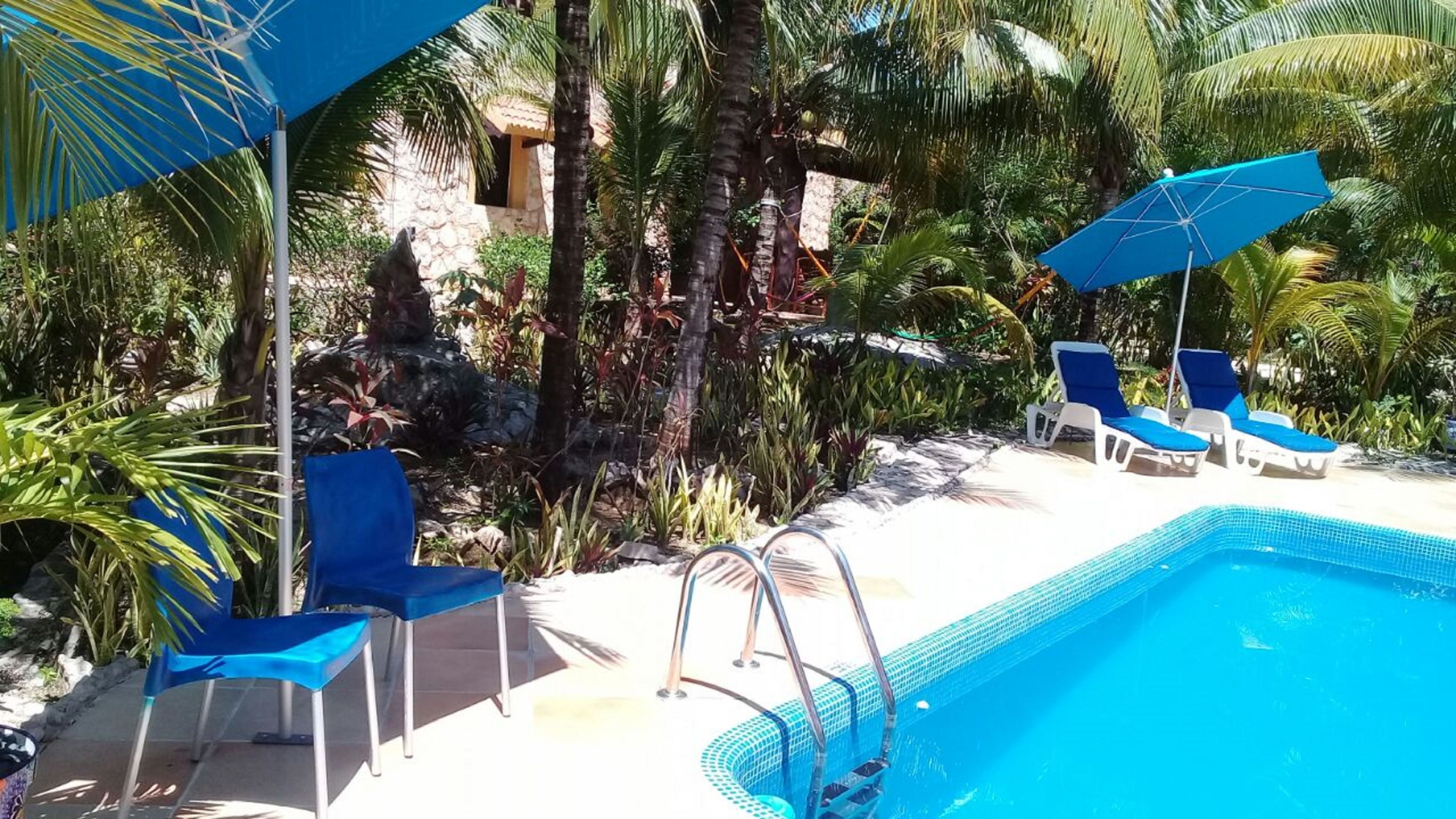 Un área de piscina con sillas reclinables azules y sombrillas, rodeada de plantas tropicales y un muro de piedra.