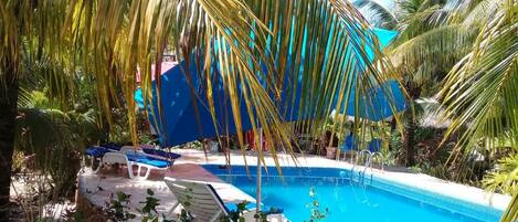 A swimming pool surrounded by palm trees and blue umbrellas.