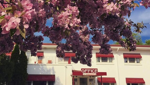 A building with a sign reading "OFFICE" and a tree with pink flowers in front. - Holiday Music Motel (Sturgeon Bay)