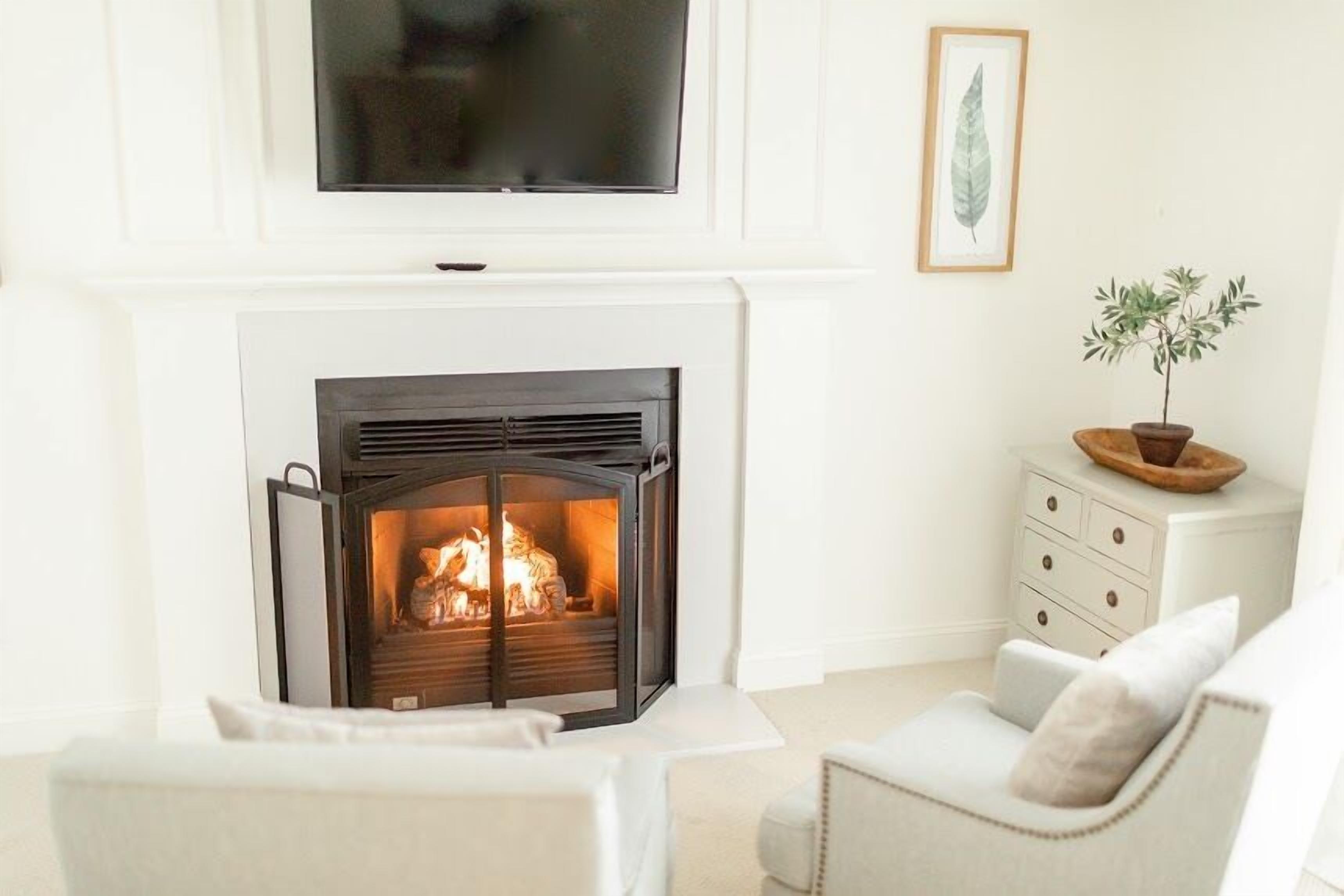 A living room with a fireplace, a television mounted above it, and a potted plant on a side table.