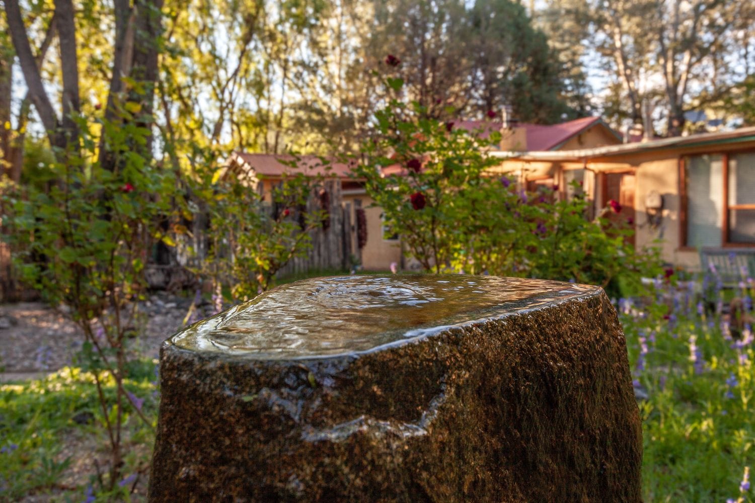 Um ambiente rústico ao ar livre, com um toco de madeira em primeiro plano, rodeado por vegetação e um edifício com telhado vermelho ao fundo.