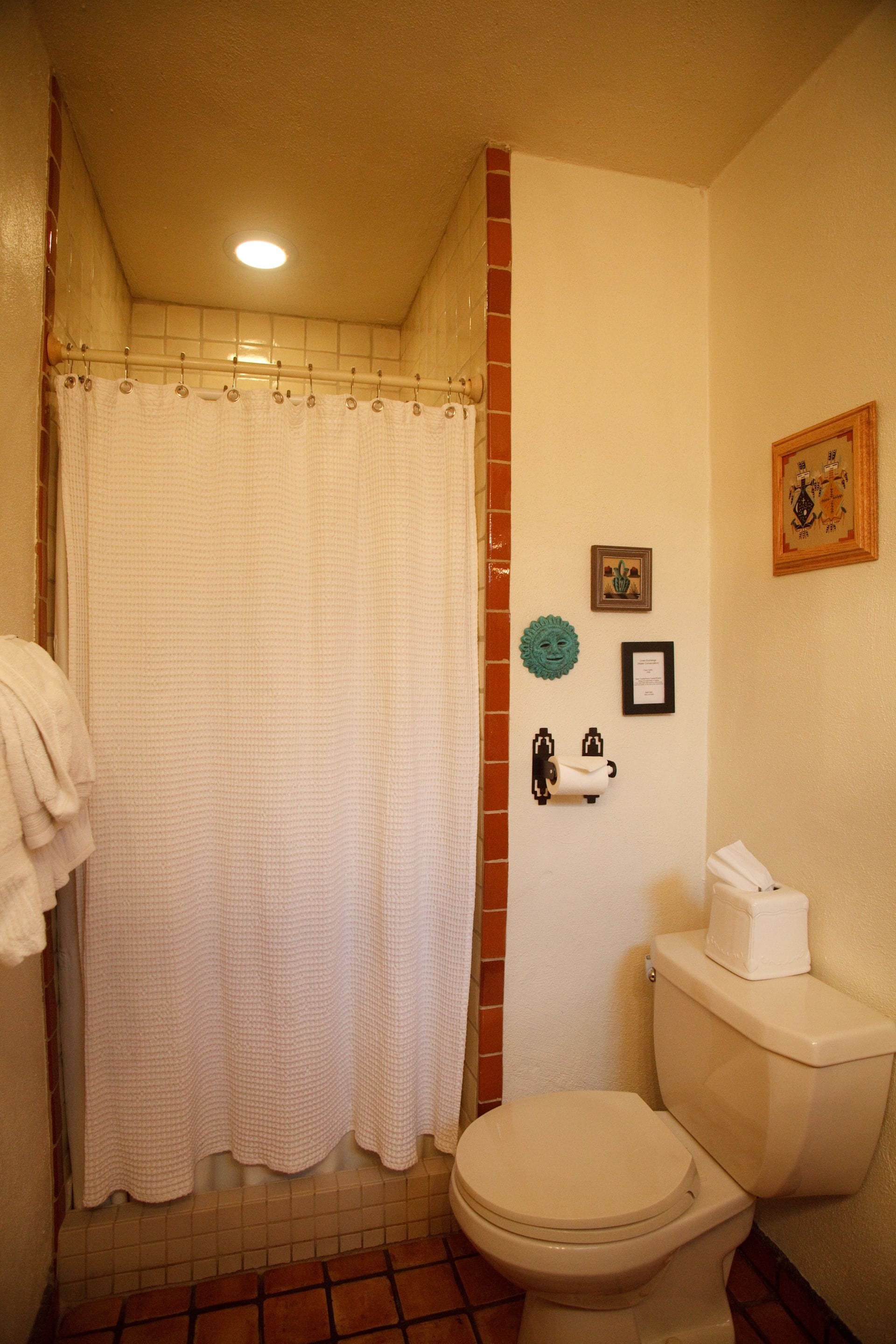 A bathroom with a toilet, a shower curtain, a towel rack, a toilet paper holder, and a framed picture on the wall.