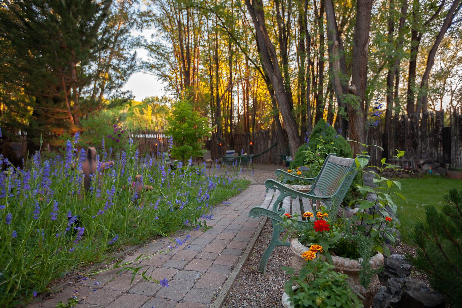 Un sendero en un jardín con un banco, rodeado de diversas plantas y flores.