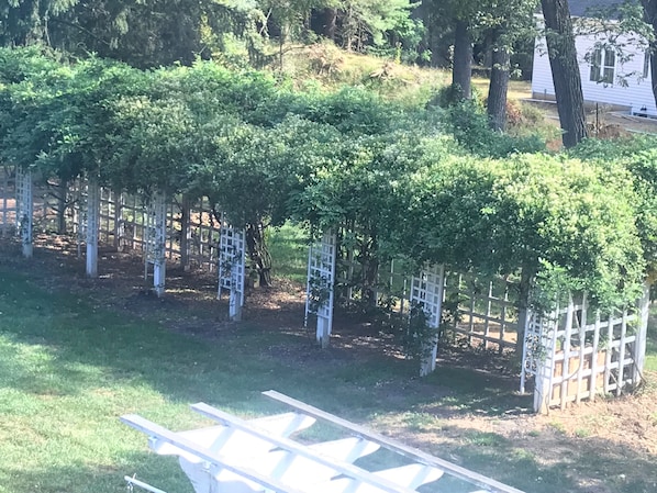 Chambre Deluxe, 1 trÚs grand lit, réfrigérateur et four à micro-ondes, vue sur le jardin | Vue de la chambre