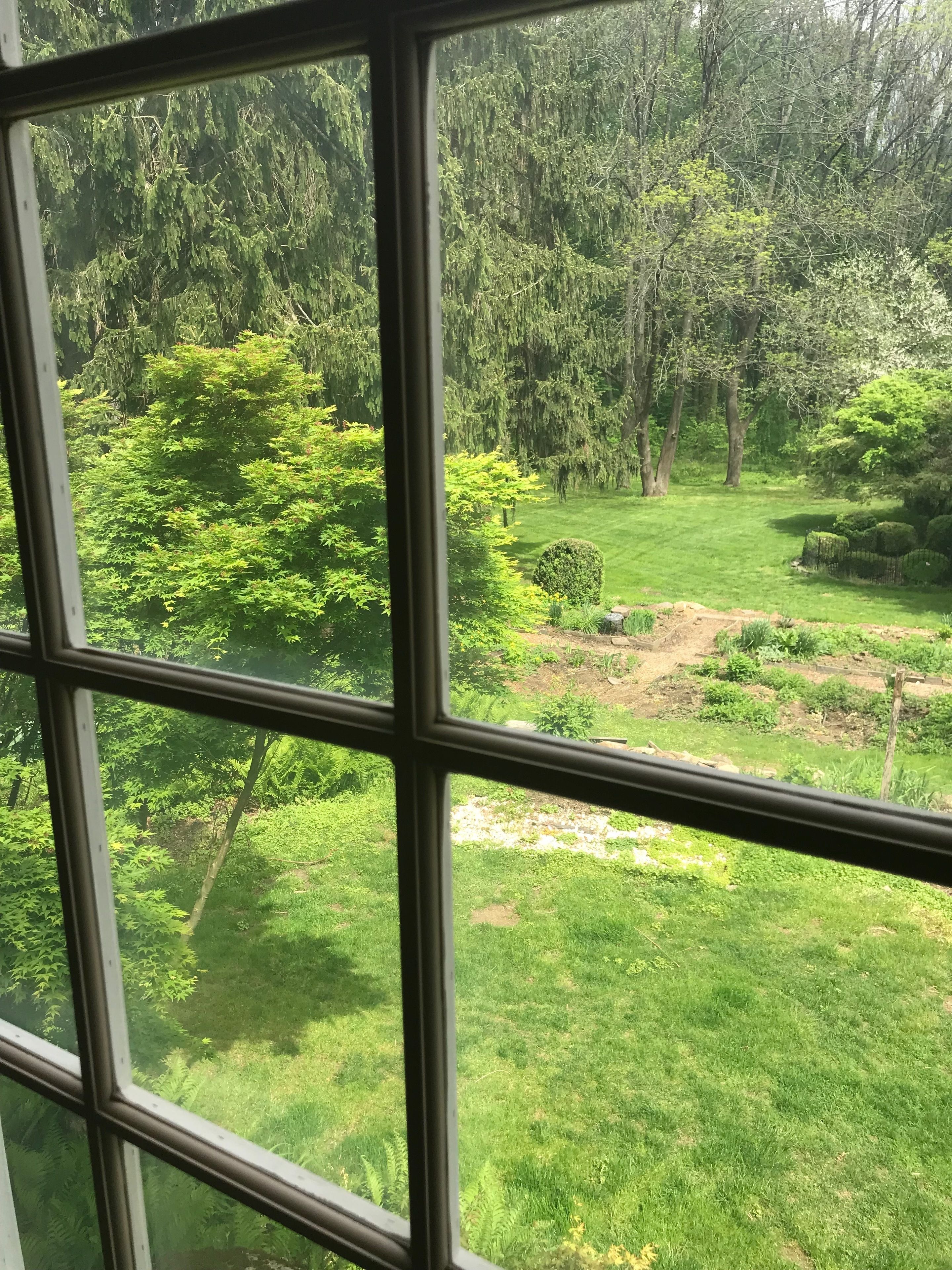 Premium Suite, 1 King Bed, Refrigerator & Microwave, Garden View | View from room