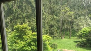 A view through a window of a lush garden with a variety of trees and a well-maintained lawn. - Wild Wisteria (Chadds Ford)